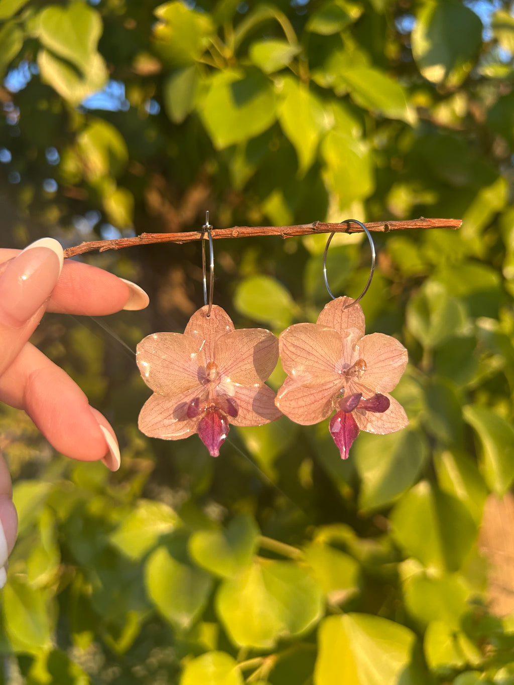 Pendientes orquídea