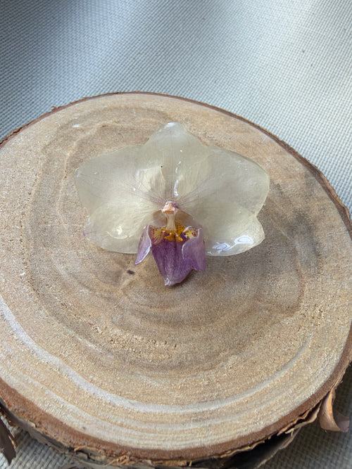 Anillo orquídea