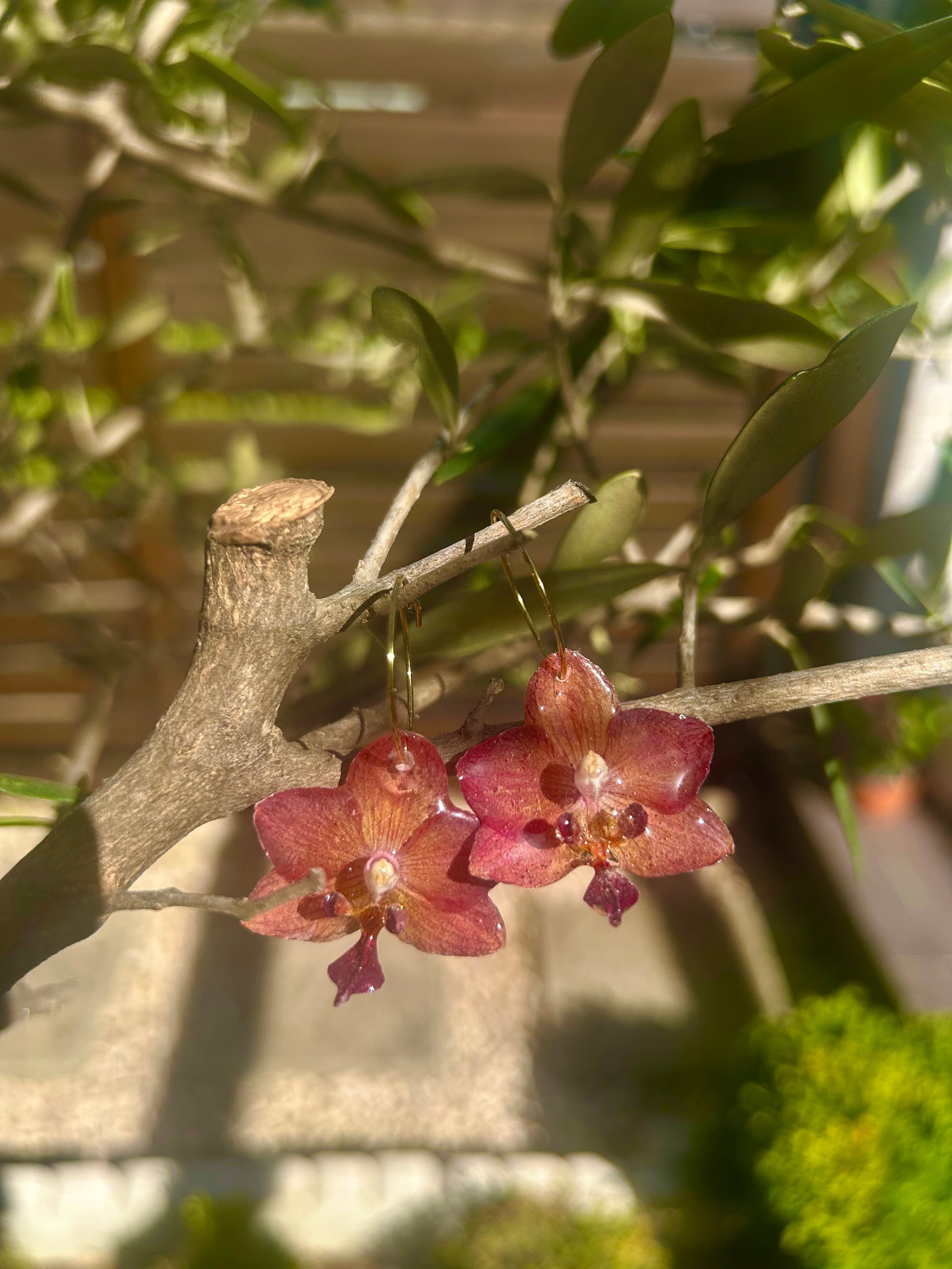 Pendientes orquídea