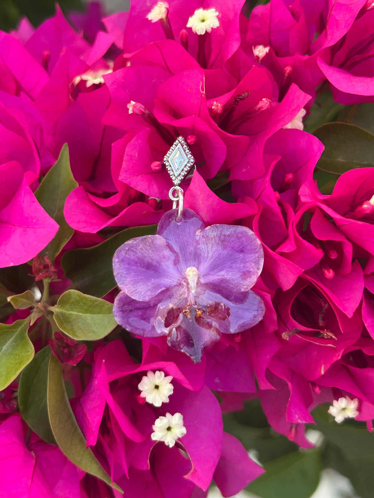 Pendientes orquídea