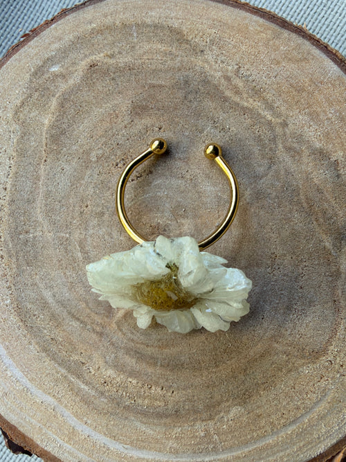 Anillo margarita