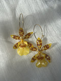 Pendientes orquídea exótica encapsulada