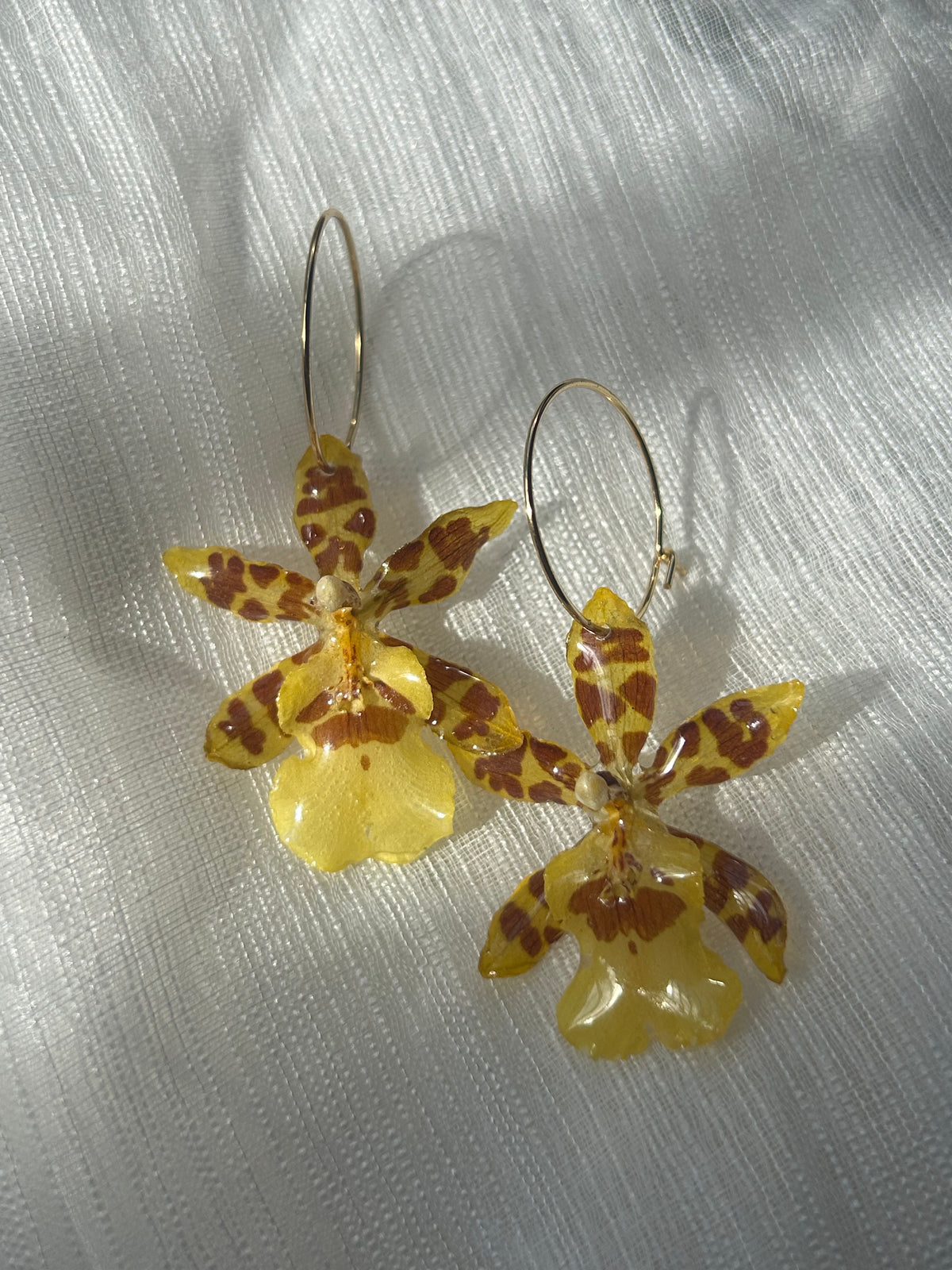 Pendientes orquídea exótica encapsulada