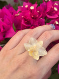 Anillo orquídea natural