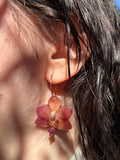 Pendientes orquídea