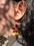 Pendientes orquídea exótica