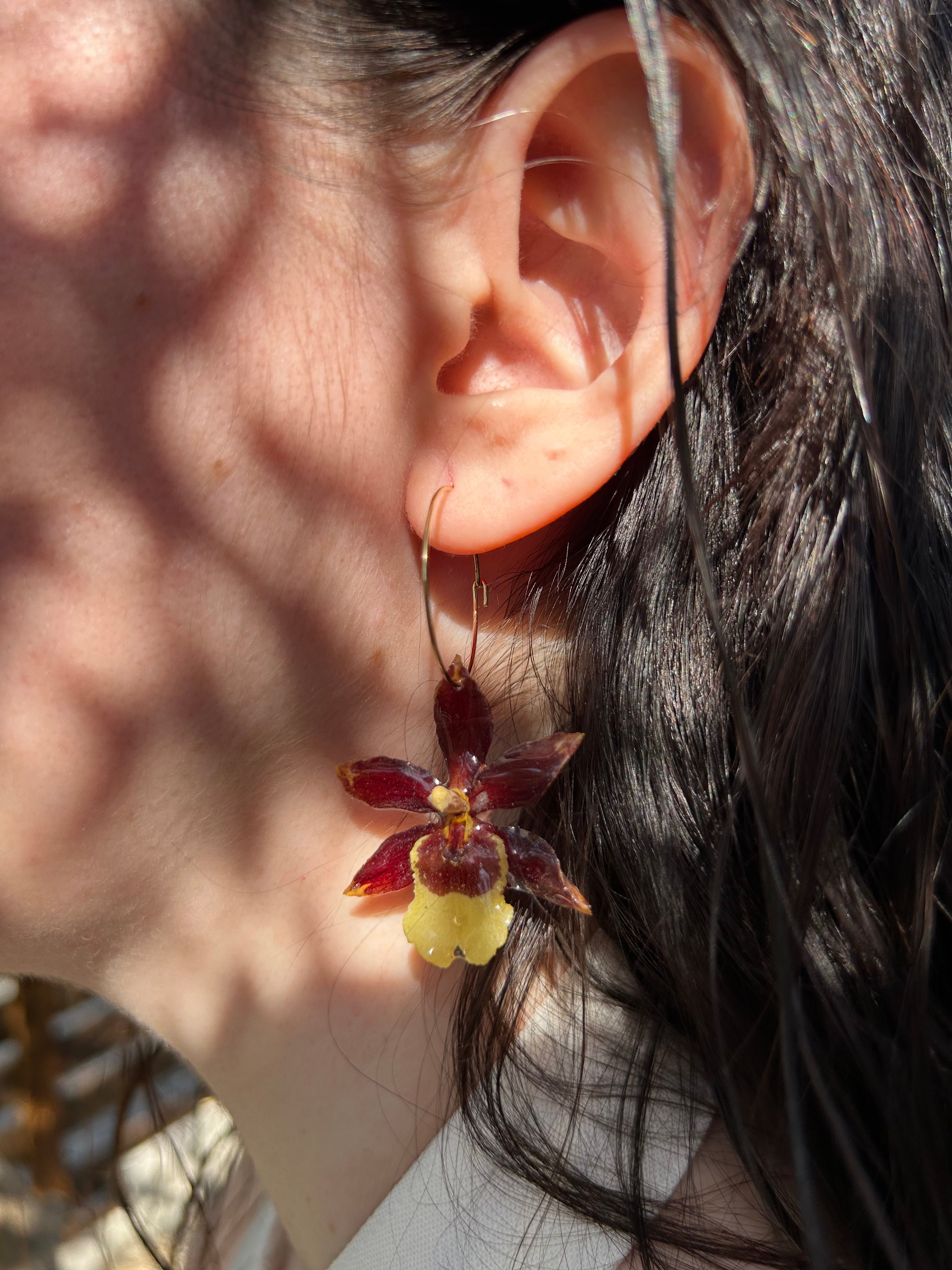 Pendientes orquídea exótica