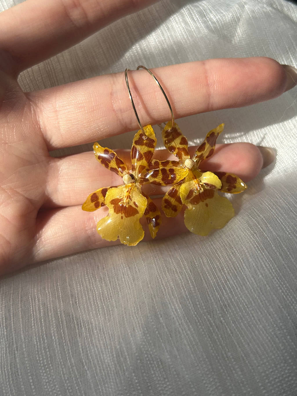 Pendientes orquídea exótica encapsulada