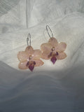 Pendientes orquídea